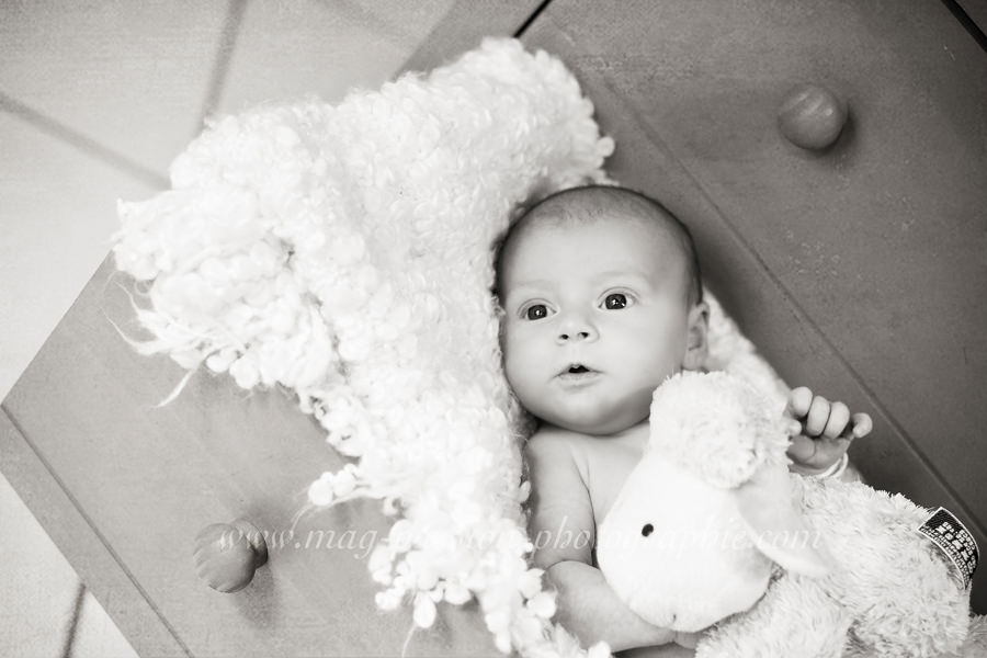 IMG_1409 as Smart Object-1